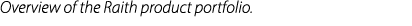 Overview of the Raith product portfolio.